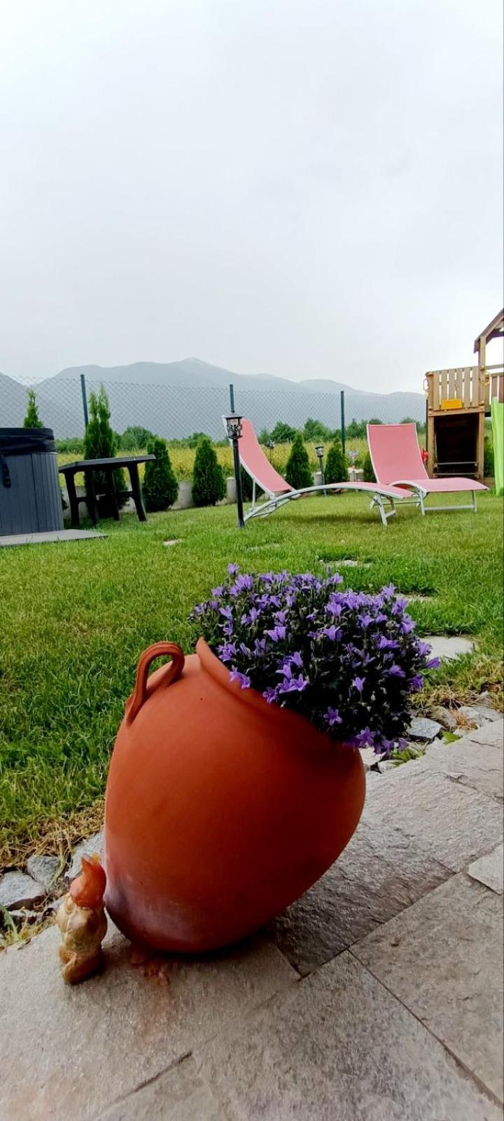 Mountain Villa Jordan- With Jacuzzi Razlog Phòng bức ảnh